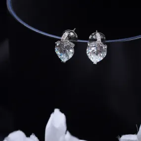 G.Silver Zircon Earrings.